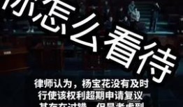 四川爆料热点新闻视频回放,揭秘事件真相与背后故事