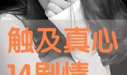 触在线观看,探索虚拟世界的无限魅力